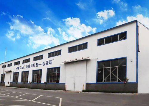 坚持科技创新 驱动企业蓬勃发展的引擎