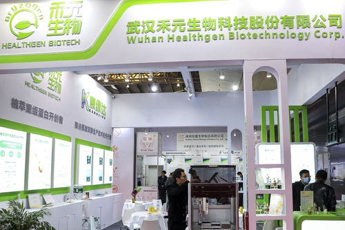 科创板第五套标准重启落地，三年亏损4.82亿元生物科技公司成功过会